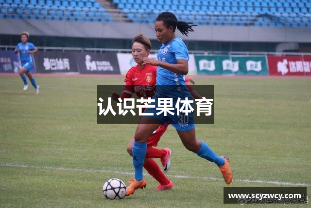 认识芒果体育
